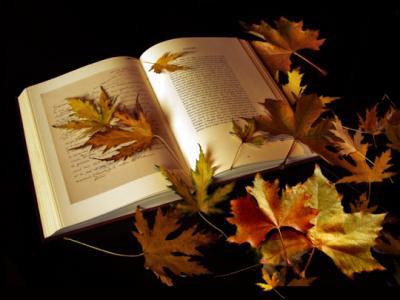 Poeme