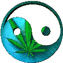 La drogue